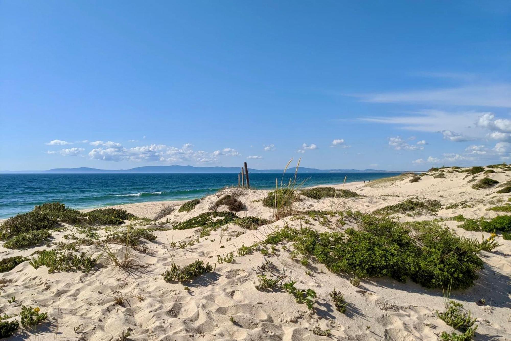 Sesmarias Dos Nobres Villa Azinheira dos Barros ภายนอก รูปภาพ