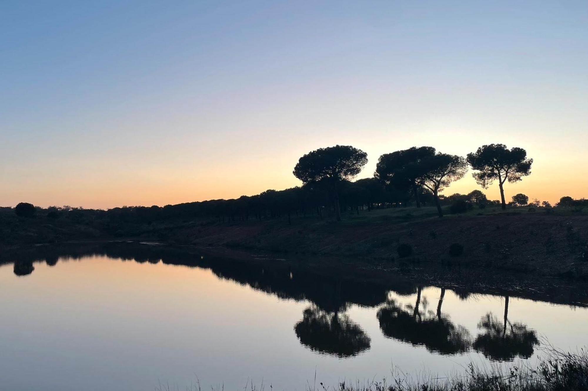 Sesmarias Dos Nobres Villa Azinheira dos Barros ภายนอก รูปภาพ